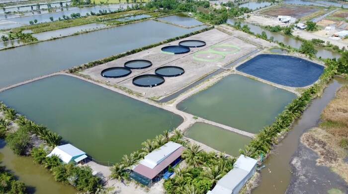 Water Infrastructure & Irrigation