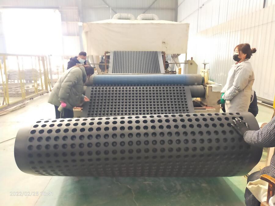 Geocomposite Drainage Board